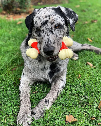 Double Bone Power Chew Toy for Dogs, Dog Toys for Aggressive Chewers, Bacon Flavor, X-Large - 50+ Lbs, 1 Count